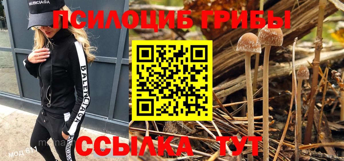 Галлюциногенные грибы Cubensis  Галлюциногенные грибы ЛСД  Вход с VPN  Россия 