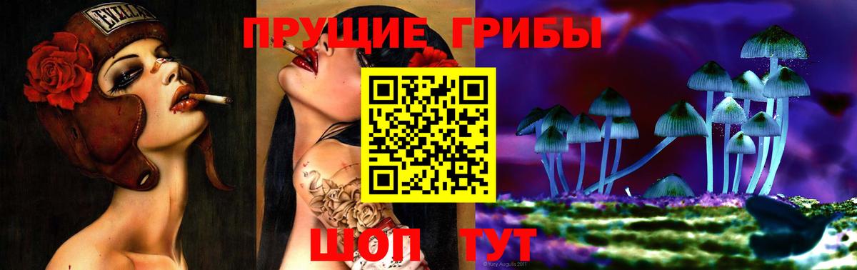 Галлюциногенные грибы Cubensis Россия